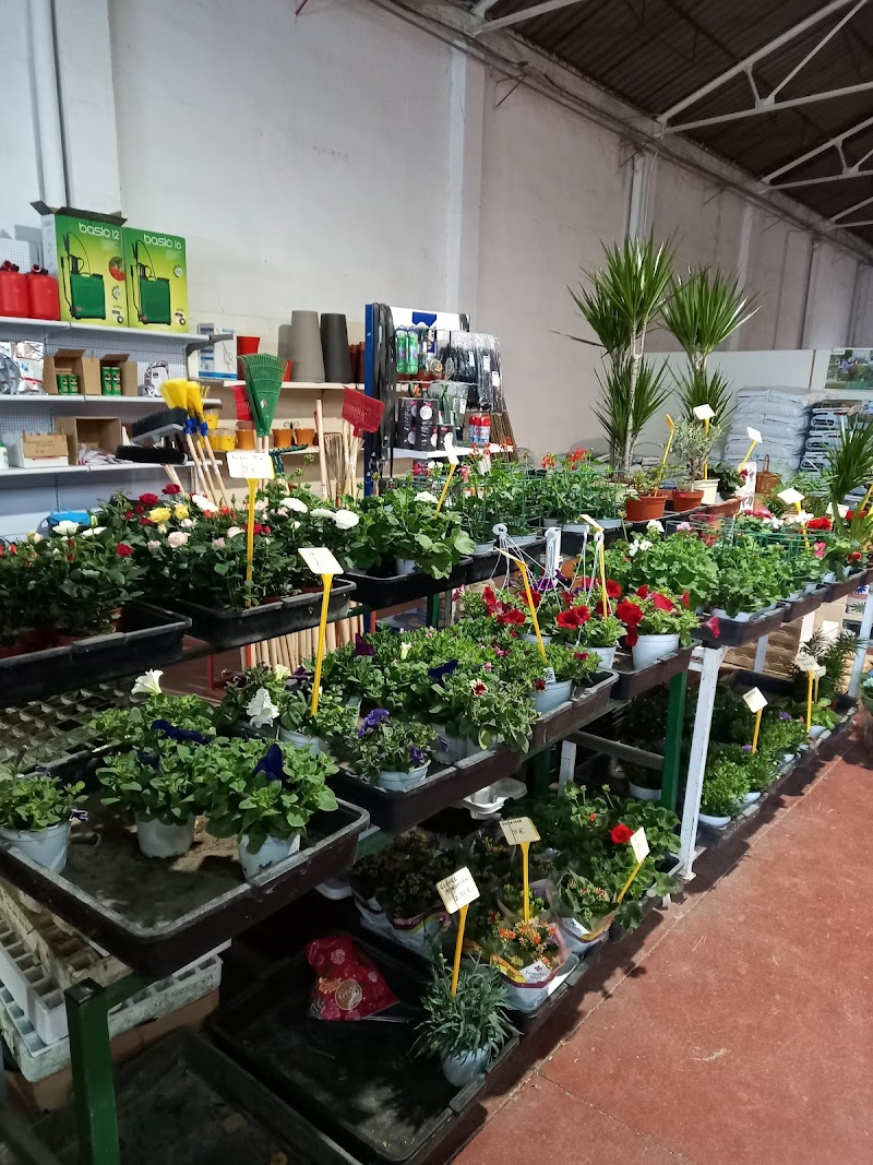 Imagen de Xapiplant, S.l.