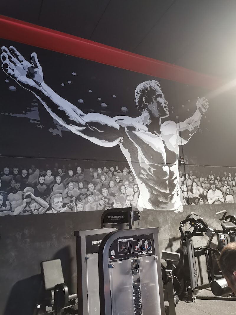 Imagen de Titan Fitness Alicante