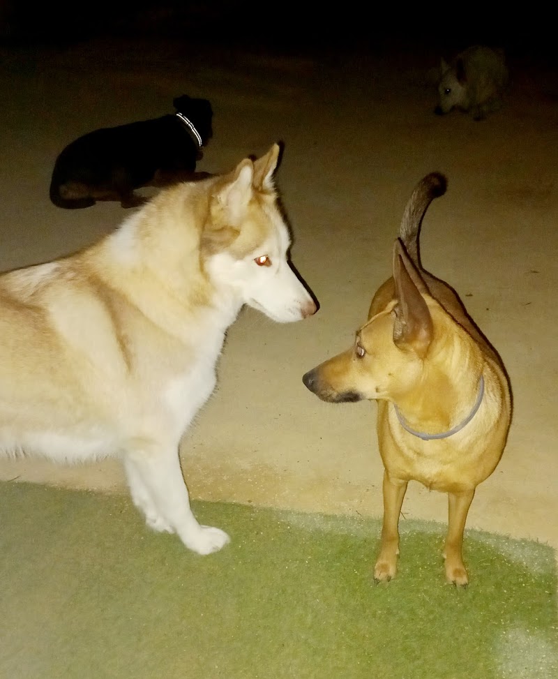 Imagen de Huellas y Manchas