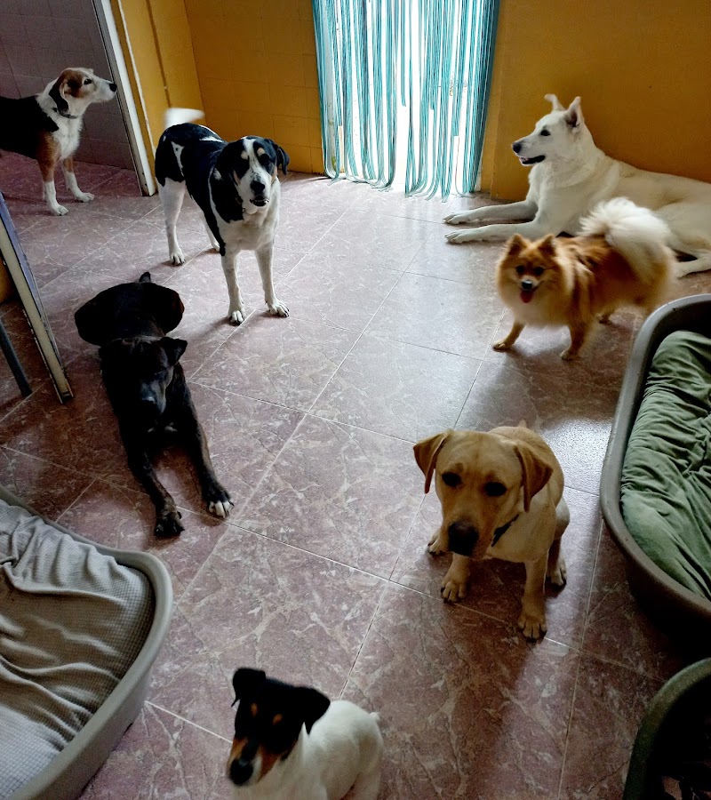 Imagen de Huellas y Manchas