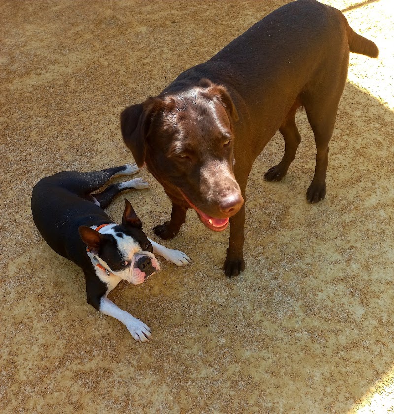 Imagen de Huellas y Manchas