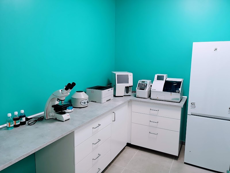 Imagen de negocio en Higiene dental para mascotas en Provincia de Alicante