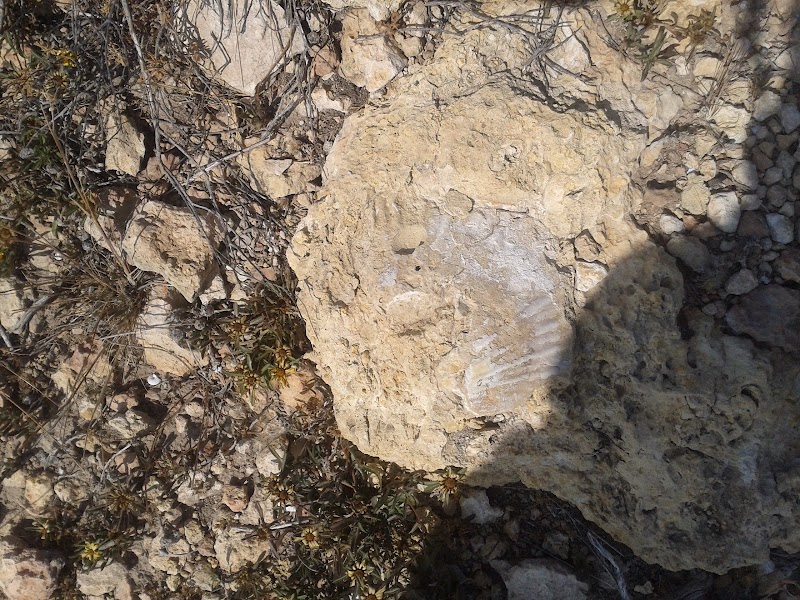 Imagen representativa de la localización