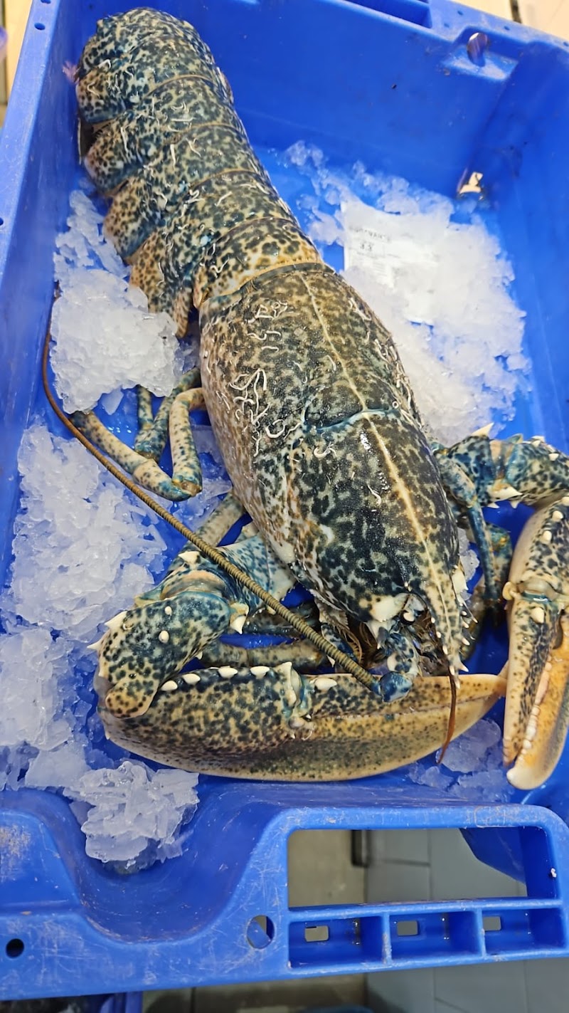 Imagen de Pescados Hermanos Baeza