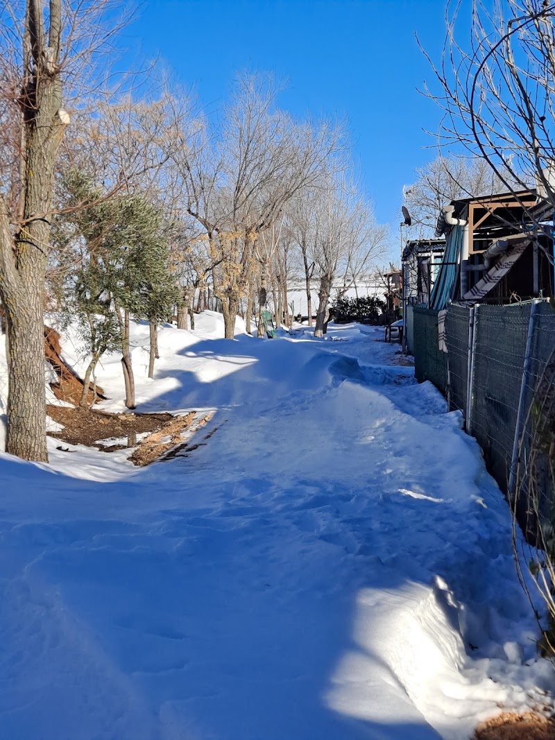 Imagen de Camping Daganzo de Arriba