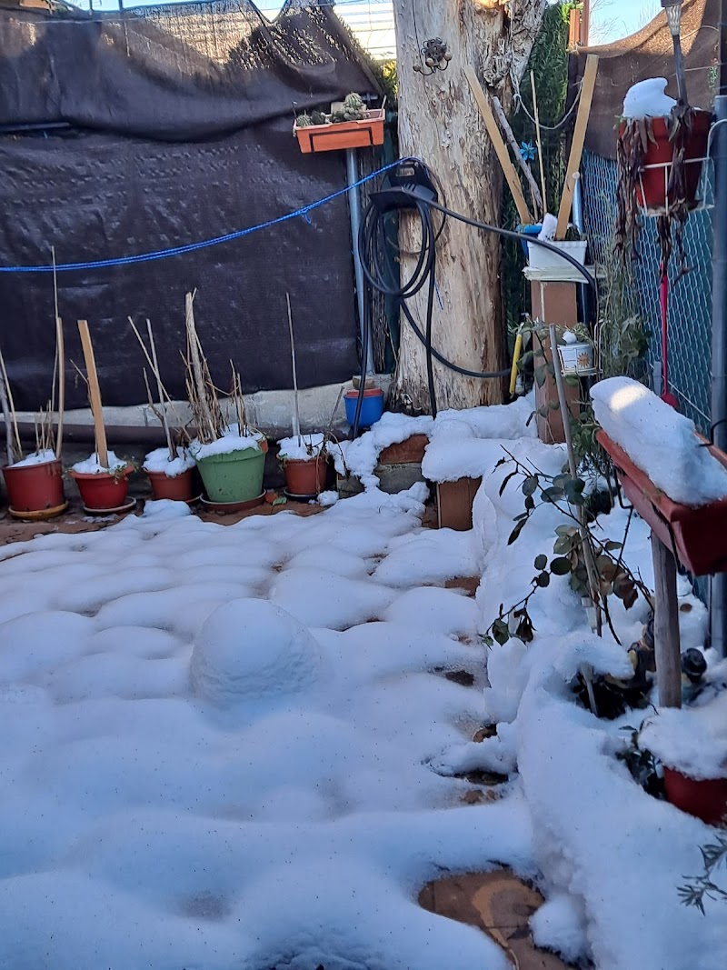 Imagen de Camping Daganzo de Arriba