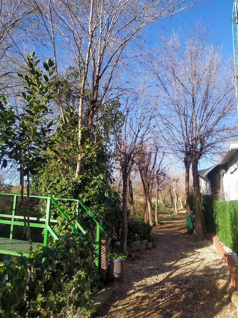 Imagen de Camping Daganzo de Arriba