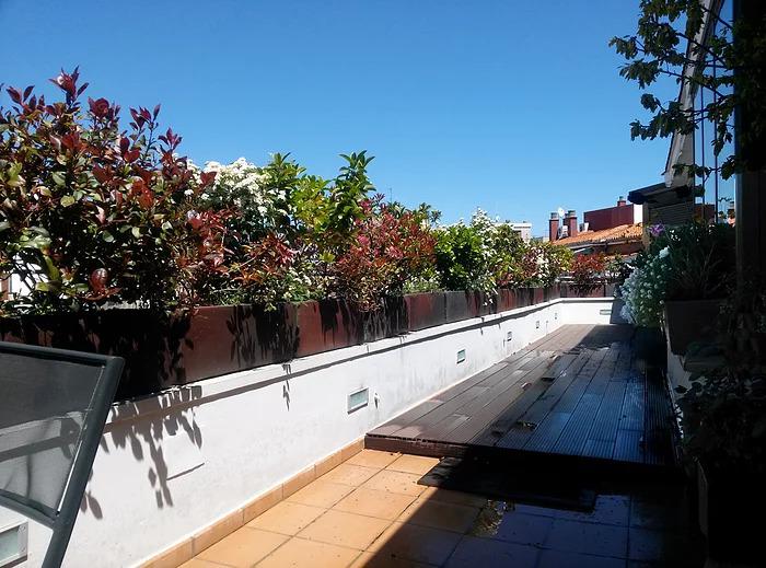 Imagen de Arcadia Jardines y Paisajes