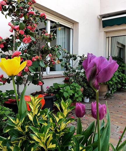 Imagen de Arcadia Jardines y Paisajes