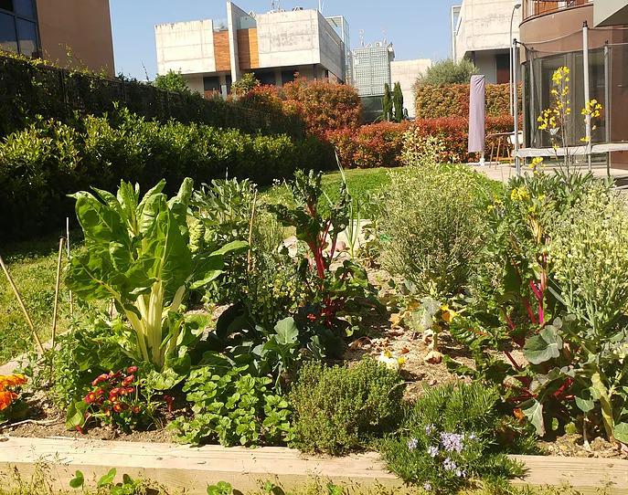 Imagen de Arcadia Jardines y Paisajes