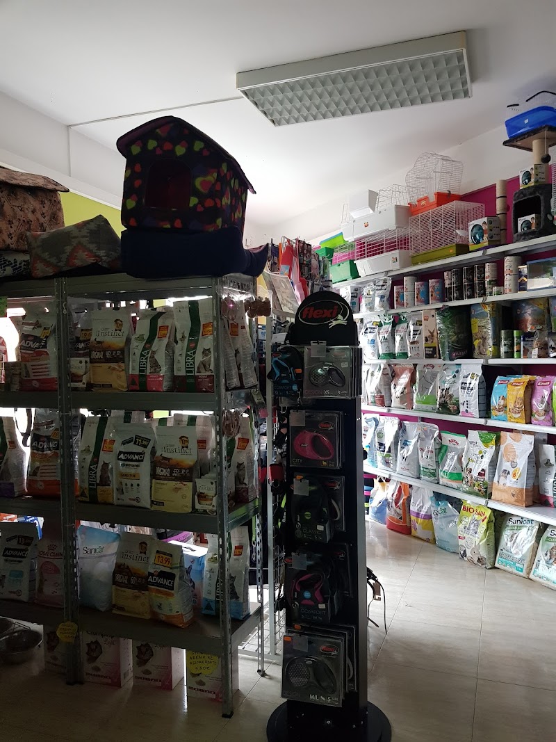 Imagen de Peluquería Canina y Felina Iris