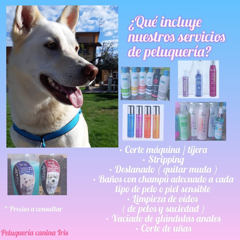 Imagen de Peluquería Canina y Felina Iris