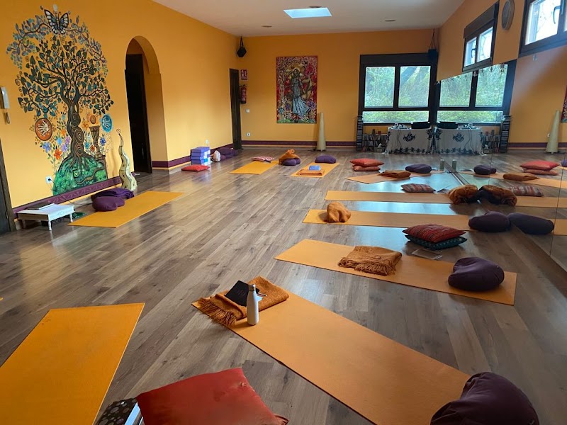 Imagen de Villa Artemisa