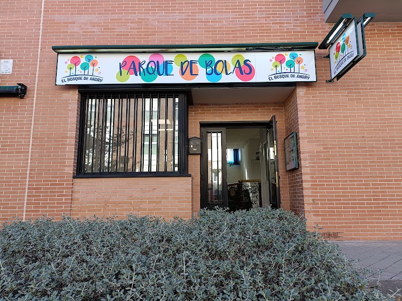 Imagen de El Bosque de Andry – Parque de Bolas – Cumpleaños