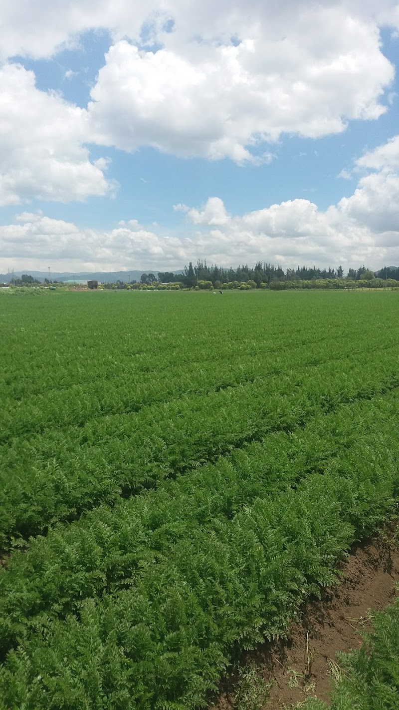 Imagen representativa de la localización