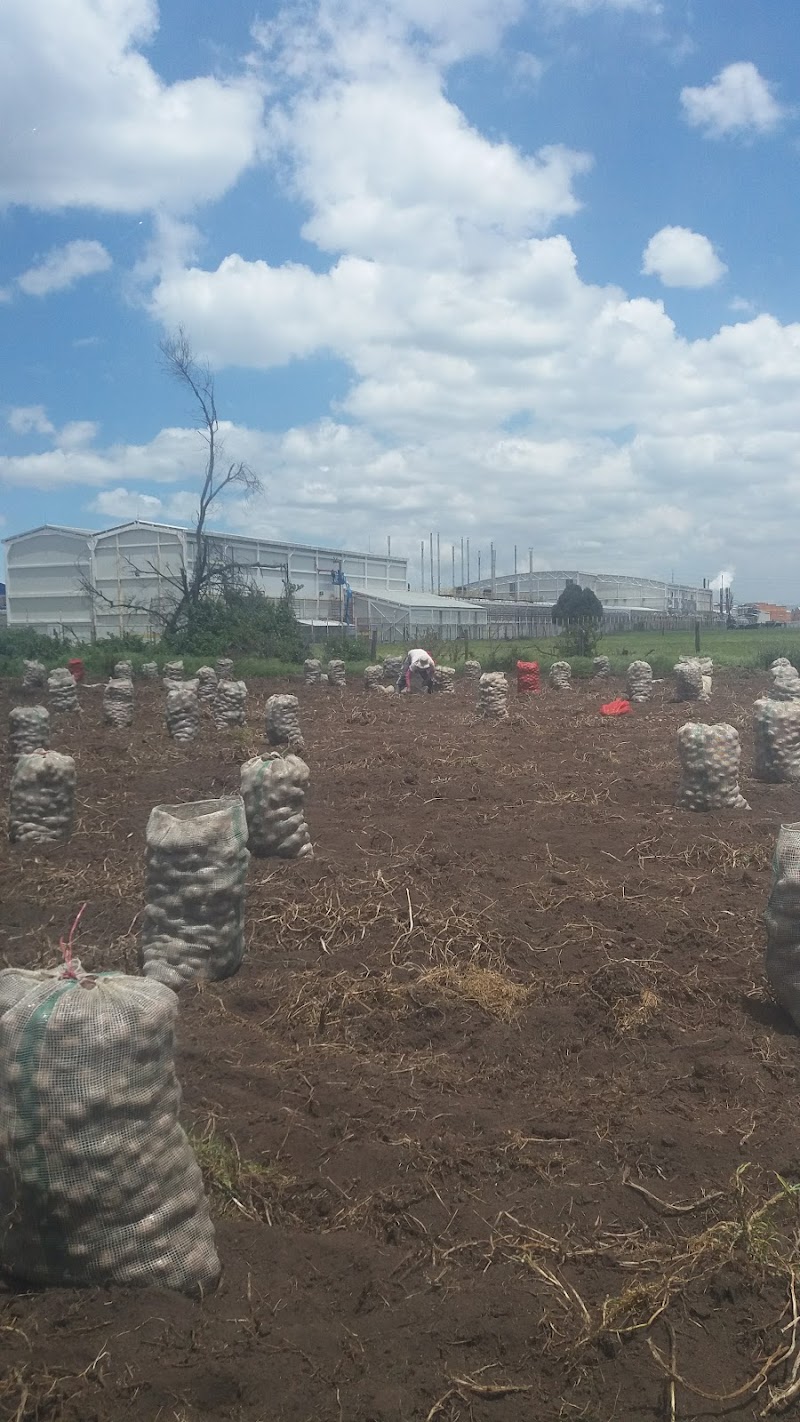 Imagen representativa de la localización