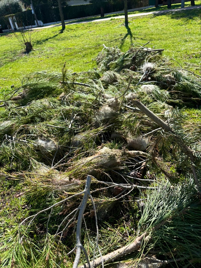 Imagen de negocio en Desinfección en Valdetorres de Jarama