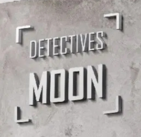 Imagen de Detectives Moon