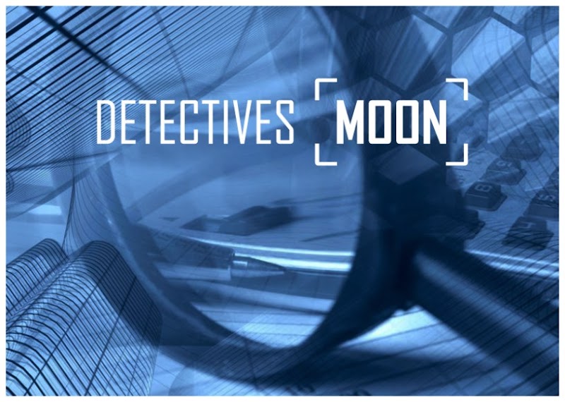 Imagen de Detectives Moon