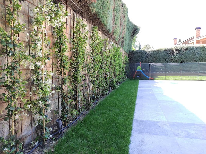 Imagen de Paisajismo la Moraleja