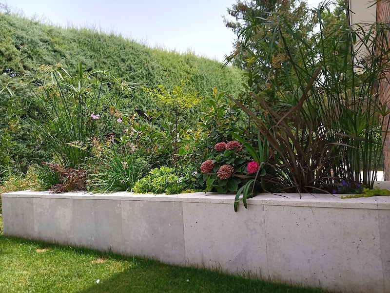 Imagen de Paisajismo la Moraleja