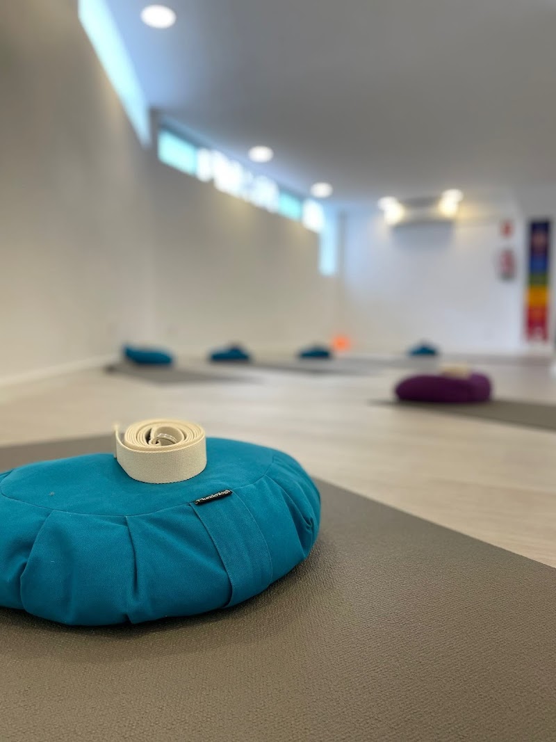 Imagen de Yoga la Moraleja