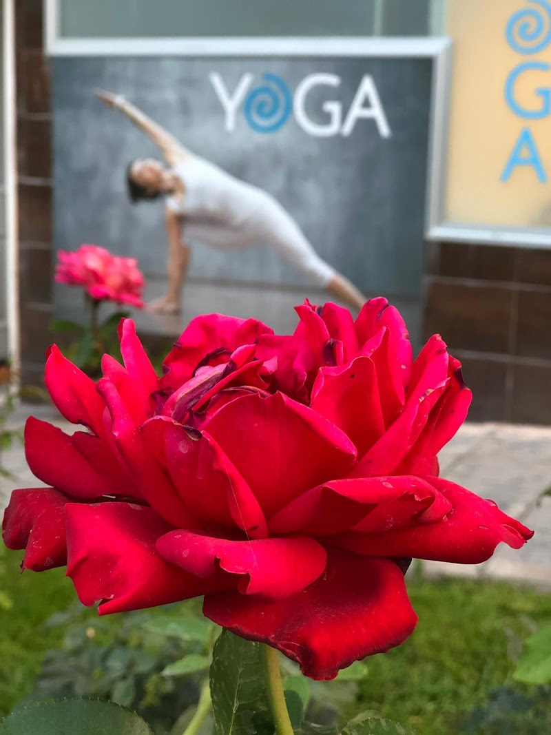 Imagen de Yoga la Moraleja