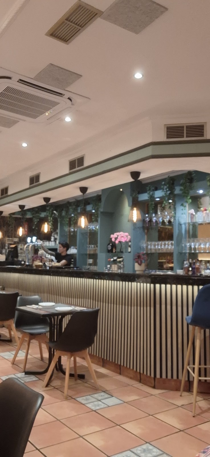 Imagen de El Zoquito