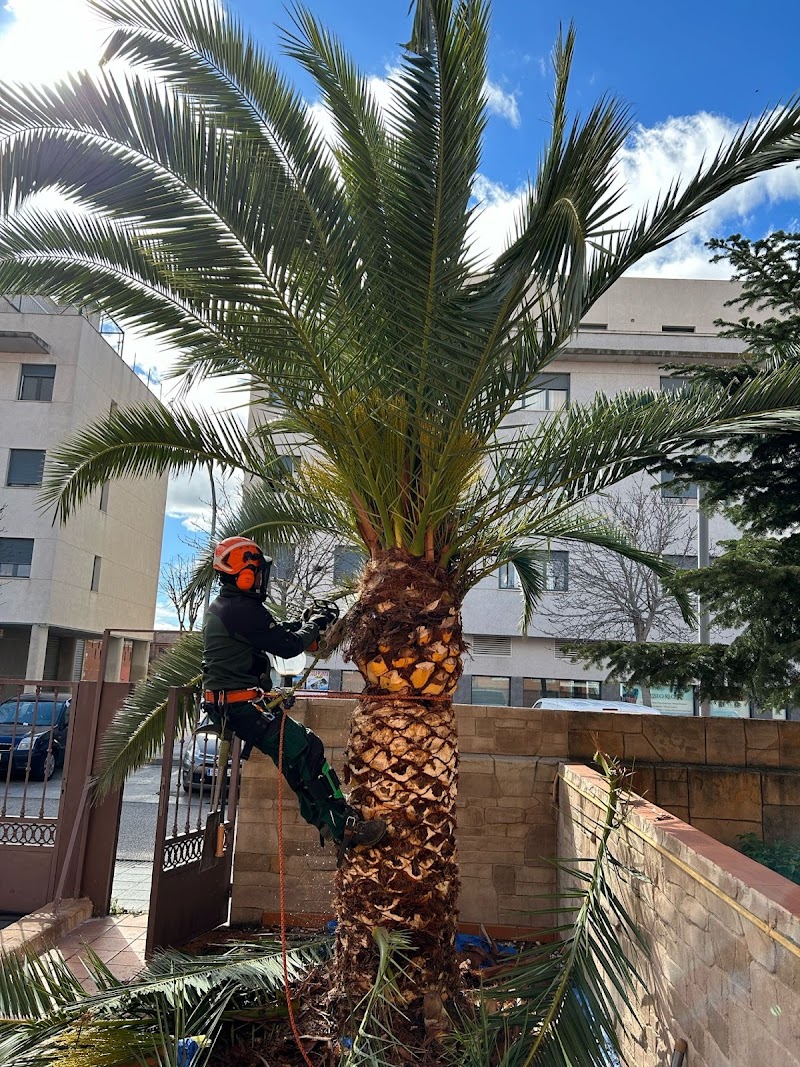 Imagen de Jardinería Alcarria