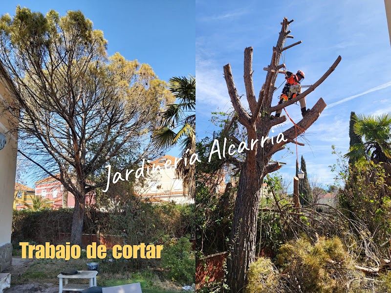 Imagen de Jardinería Alcarria