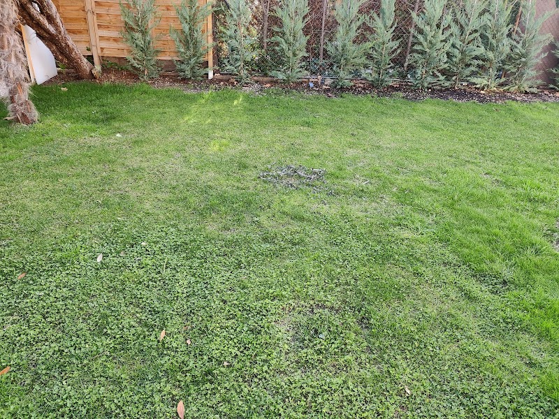 Imagen de Jardinería Alcarria