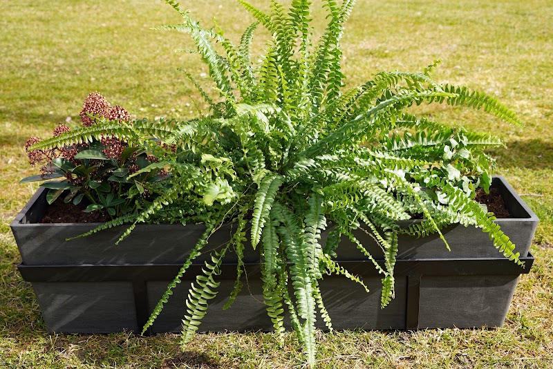 Imagen de Encina Gardens, S.l.