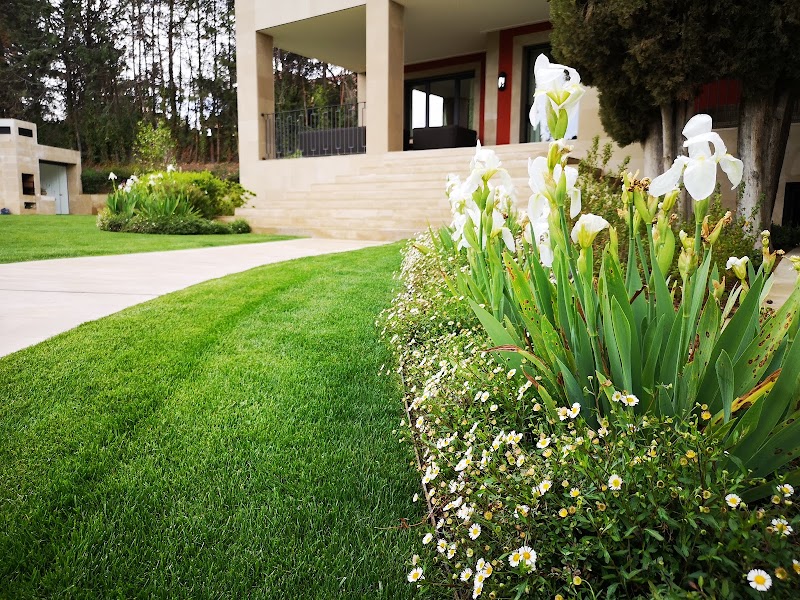 Imagen de Arkhe Paisajismo S.l.