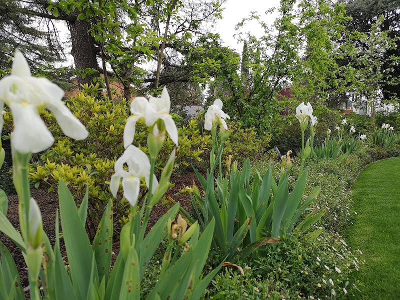 Imagen de Arkhe Paisajismo S.l.