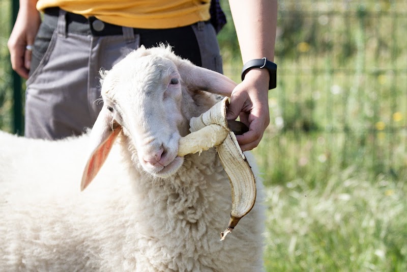 Imagen de la localización