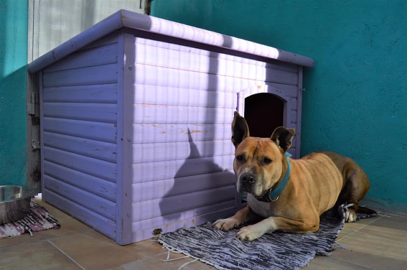 Imagen de la localización