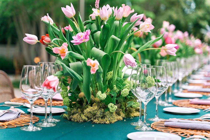 Imagen de Crazy Love Shots (los Crazies)