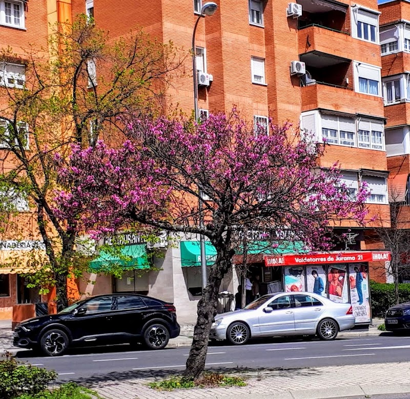 Imagen representativa de la localización