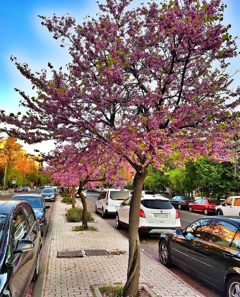 Imagen representativa de la localización