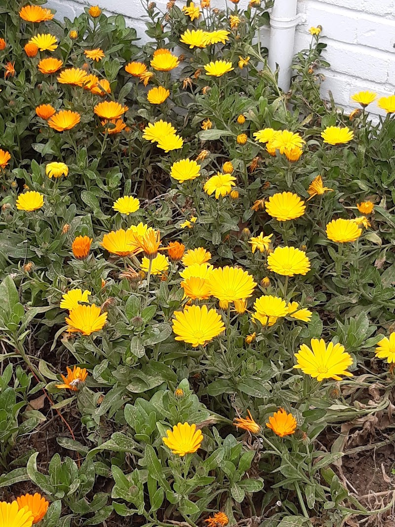 Imagen representativa de la localización