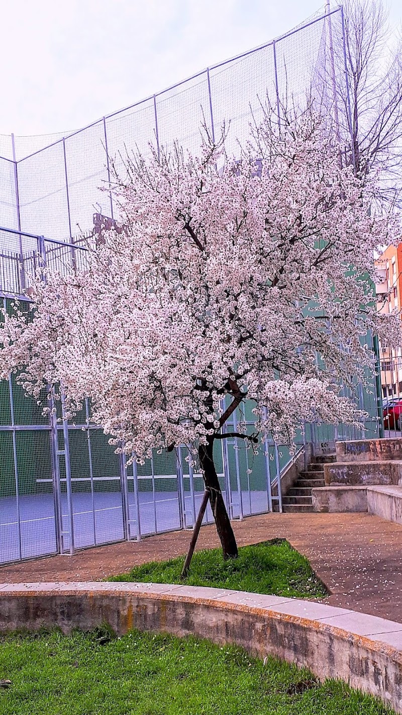 Imagen representativa de la localización