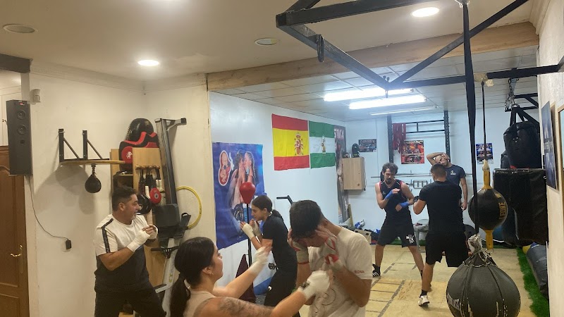 Imagen de Carter Boxing Club