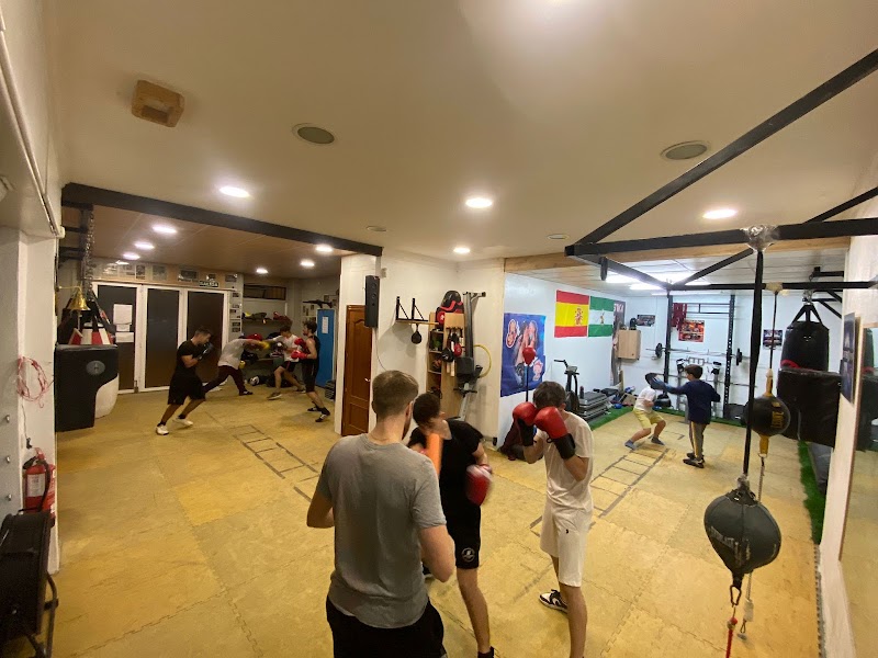 Imagen de Carter Boxing Club