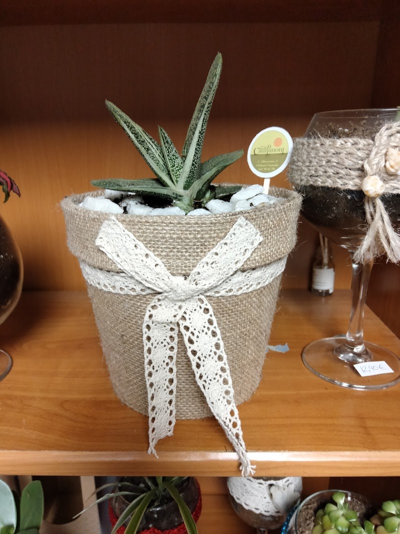 Imagen de negocio en Moda y comercio minorista en Alfacar