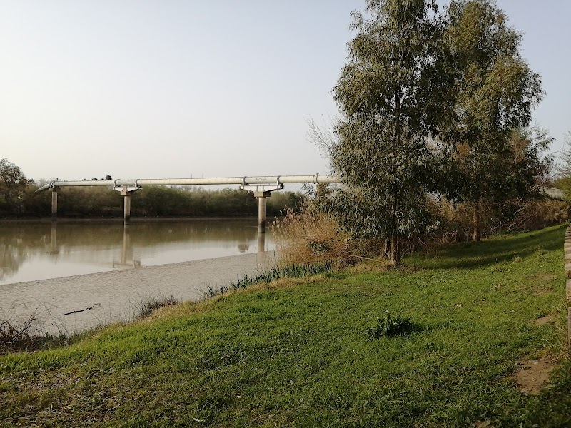 Imagen de negocio en Camping en Sevilla