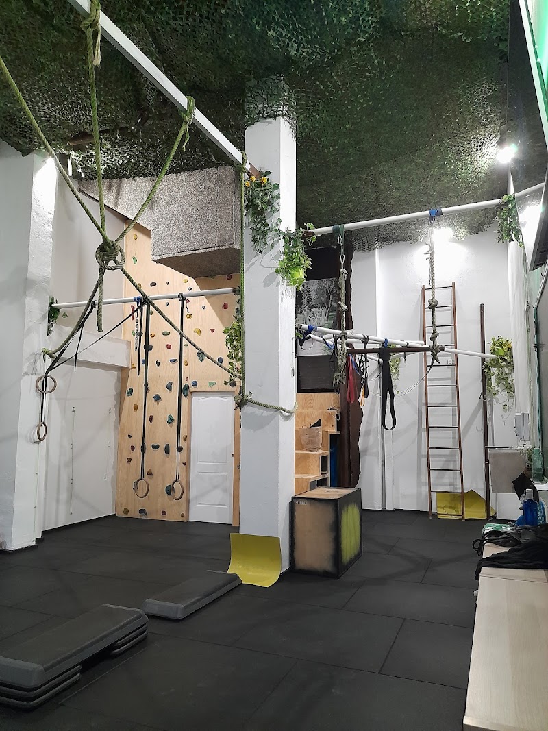 Imagen de Natural Trainers