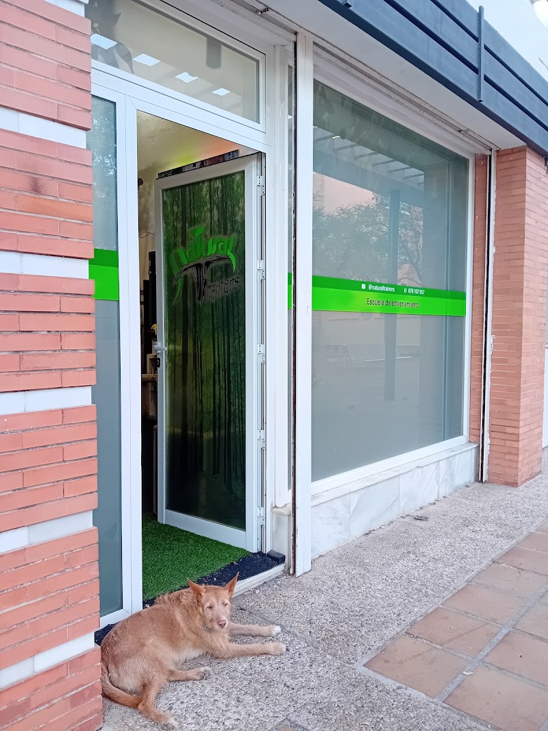 Imagen de Natural Trainers