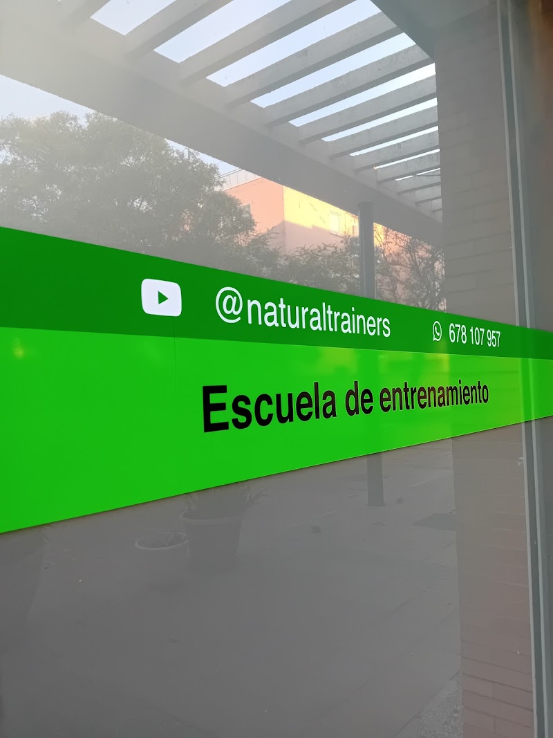 Imagen de Natural Trainers