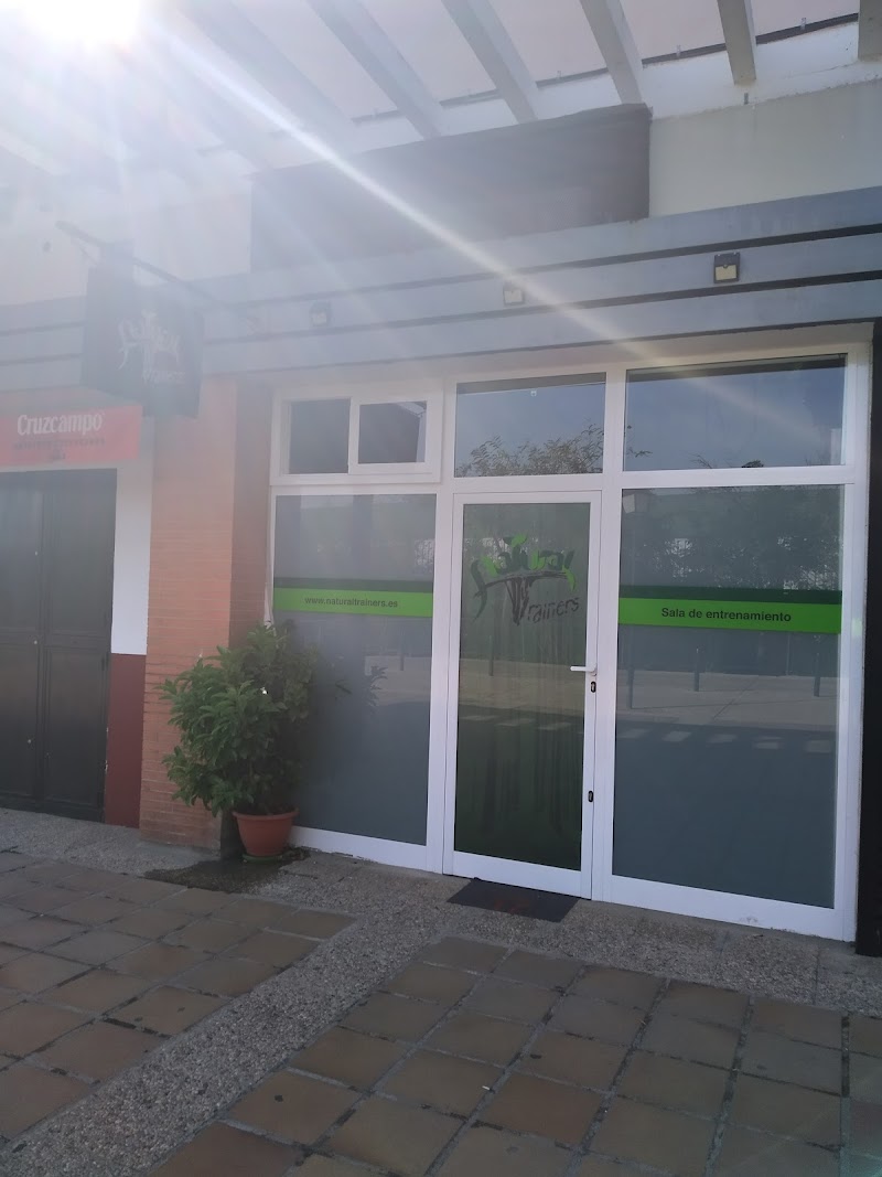 Imagen de Natural Trainers