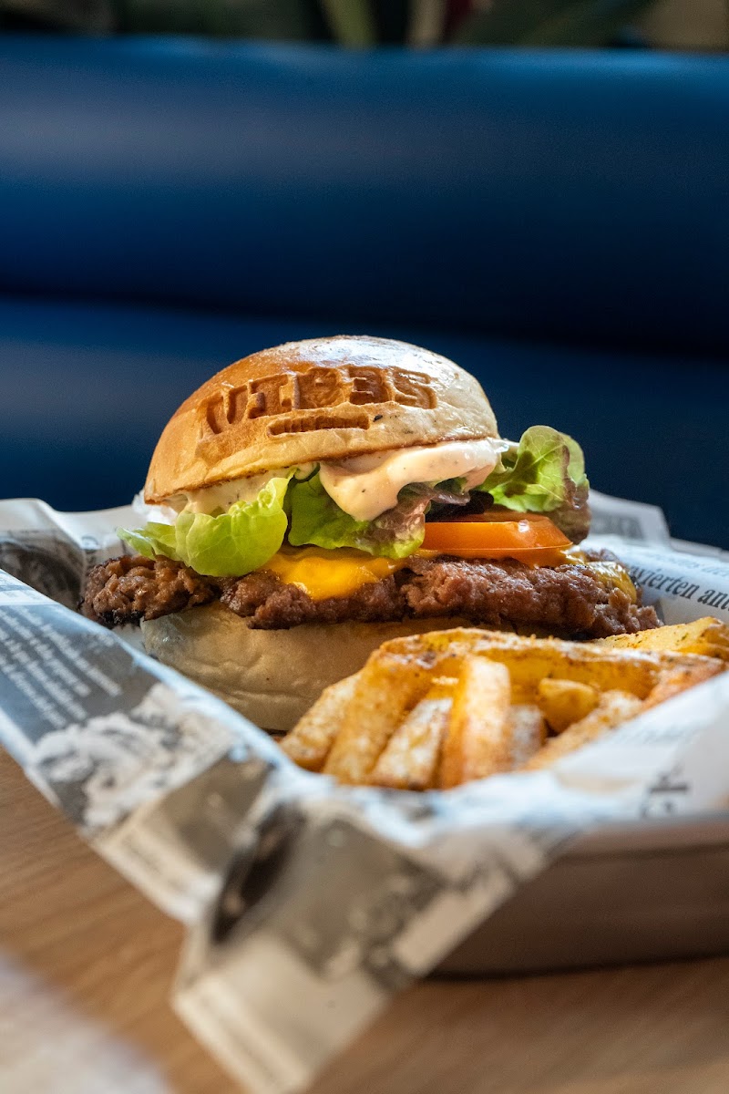 Imagen de Vib3s Burgers